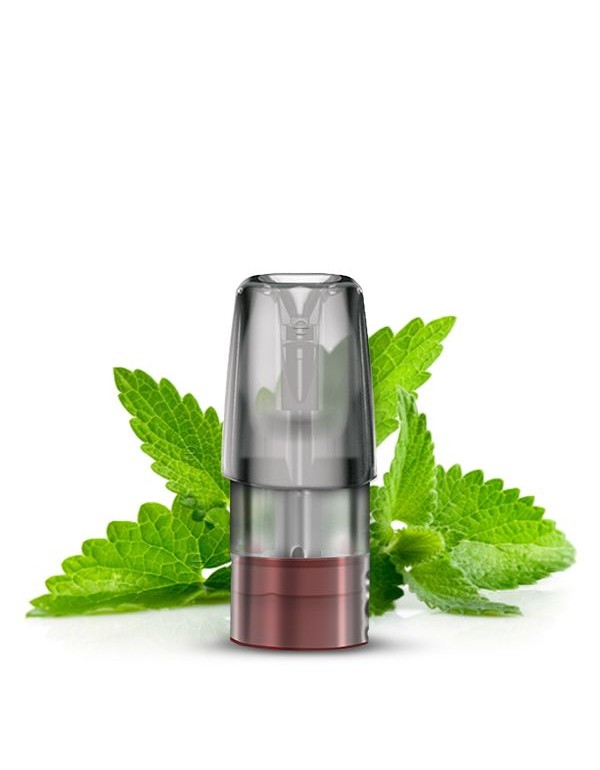 Elfbar Mate500 Pods Spearmint 20mg/ml 2 Stück