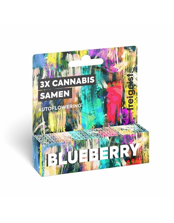 FREIGEIST Seeds Cannabis Samen Blueberry AUTOFLOWE...