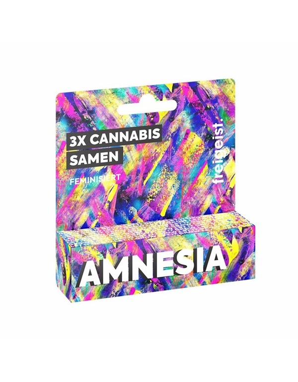 FREIGEIST Seeds Cannabis Samen Amnesia FEMINISIERT...